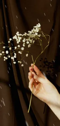 Hand Plant Flower Live Wallpaper