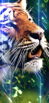 Tiger 3D Video Live Wallpaper - Apps on Google Play