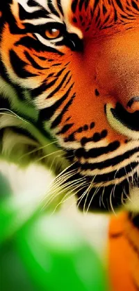 This phone live wallpaper showcases a striking close up of a tiger's face with lush green and yellow leaves in the background