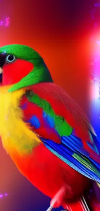 This stunning live wallpaper features a vibrant and colorful bird perched on a branch amidst a background of pararel lines representing the tree branches