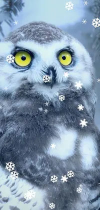 winter  Live Wallpaper