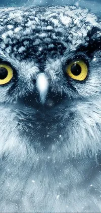 This stunning phone live wallpaper showcases a portrait of an owl in the snow with realistic details that will blow your mind