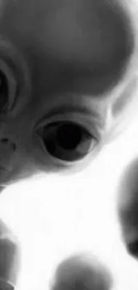 This live wallpaper showcases a captivating black and white photo of a cute baby alien that has allegedly been exposed by NASA