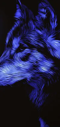 ausfauza11 Live Wallpaper