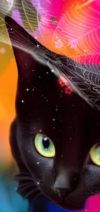 This phone live wallpaper boasts a striking close-up of a black feline with bright eyes set against a pastel background