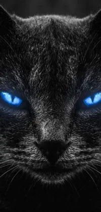 This phone live wallpaper displays a stunning digital art of a black cat with captivating blue eyes in symmetrical formation