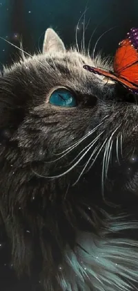 This mobile live wallpaper features a stunning photorealistic image of a cat with a butterfly resting on its head