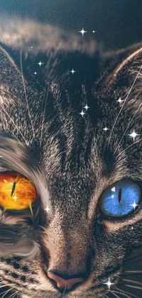 Head Cat Eyelash Live Wallpaper