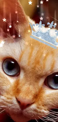 Albino Cat Fireside Live Wallpaper - free download
