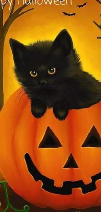 Head Cat Pumpkin Live Wallpaper