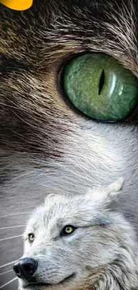 This dynamic live wallpaper features a mesmerizing cat with striking green eyes as its focal point
