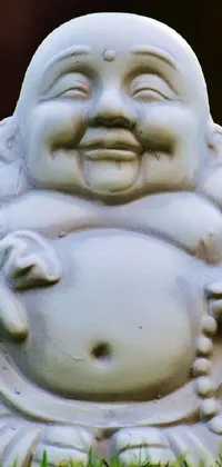 This live phone wallpaper showcases a minimalist statue of a fat buddha sitting peacefully on soft green grass