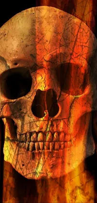 demon skull Live Wallpaper