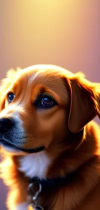This digital art live wallpaper showcases a cute dog wearing a decorative collar in rich, vivid colors