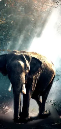 This live wallpaper showcases an elegant elephant in the midst of a vibrant forest