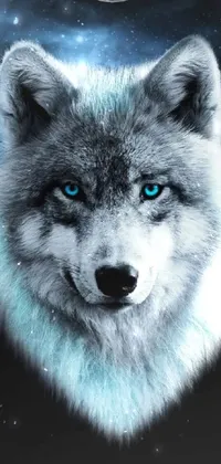 This live wallpaper for your phone depicts a striking blue-eyed wolf in incredible detail and full color
