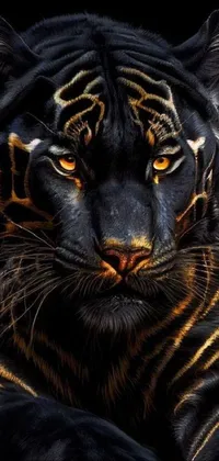Looking for a stunning phone wallpaper that will make your device stand out? Check out this trending digital art design on CG Society! It features a majestic tiger in a menacing pose, set against a black and gold backdrop