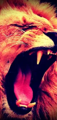 This live phone wallpaper showcases an awe-inspiring image of a lion with its mouth open in a roar