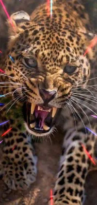 This live phone wallpaper features the up-close snarling face of an angry leopard, showcasing its sharp teeth and striking features