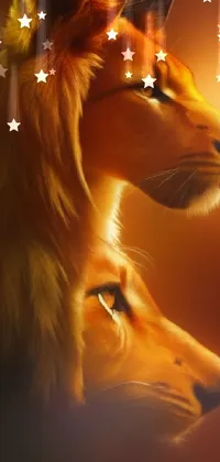 This stunning phone live wallpaper features a close-up portrait photo of two majestic lions standing side by side on the African savannah as the warm sun sets behind them