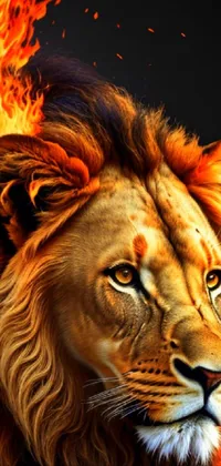Head Felidae Lion Live Wallpaper