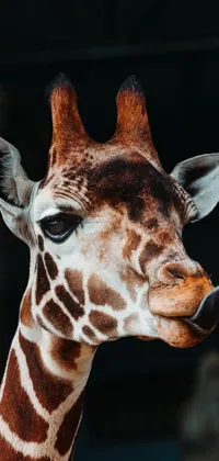 This mobile live wallpaper depicts an adorable cartoon giraffe up-close against a dark background