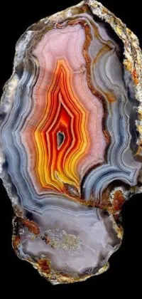 Looking for a striking live wallpaper to liven up your phone's display? This mind-blowing design features a slice of agate against a black background, with vibrant orange rocks that evoke the bold psychedelic style of the 1970s