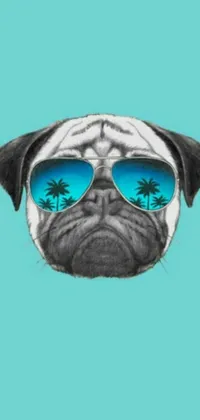 This phone live wallpaper features a cute pug dog wearing sunglasses on a blue background with palm trees