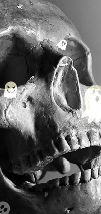 Presenting a stunning phone live wallpaper featuring a black and white photo of a skull with gritted teeth