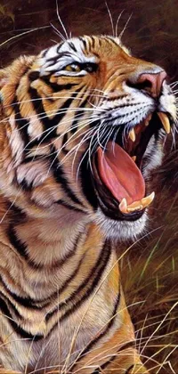 Head Roar Siberian Tiger Live Wallpaper