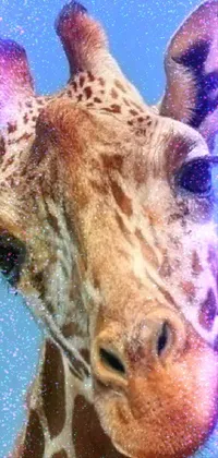 Bring your phone to life with the stunning Giraffe live wallpaper! The close-up shot of a majestic giraffe against a blue sky has a pop art feel with its oversaturated colors