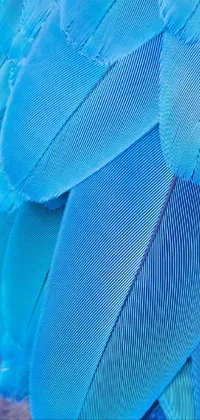 Hood Azure Blue Live Wallpaper