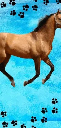 Horse Blue Liver Live Wallpaper