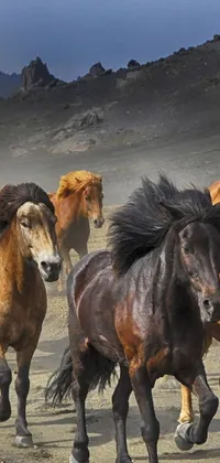 Experience the raw power of a herd of galloping horses with this stunning live wallpaper for your phone