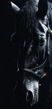 Horse Eye Helmet Live Wallpaper
