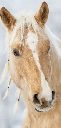 Horse Eyelash Liver Live Wallpaper