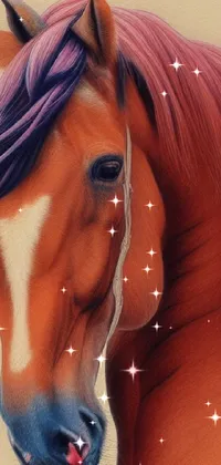 Horse Head Eyebrow Live Wallpaper
