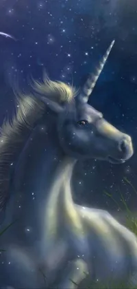 Horse Head Mythical Creature Live Wallpaper