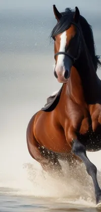 Horse Head Water Live Wallpaper