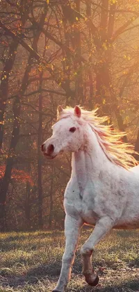 Looking for a stunning phone live wallpaper? Check out this breathtaking digital rendering of a white horse galloping in a lush field with a sunset backdrop and leaves falling from trees