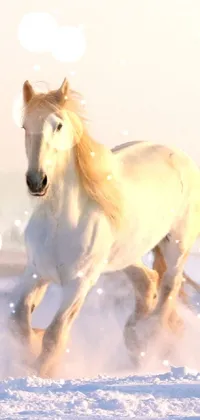 Horse Light Liquid Live Wallpaper