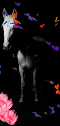 This live phone wallpaper features a majestic white horse standing gracefully next to a delicate pink flower