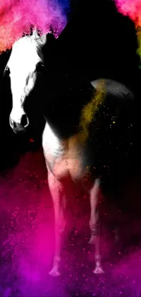 Horse Light Organism Live Wallpaper