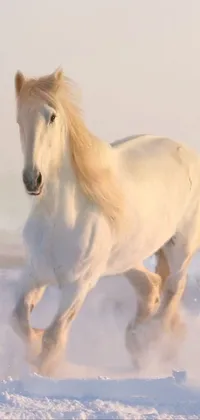 This stunning phone live wallpaper features a majestic white horse galloping across a peaceful, snow-covered field, with a serene foggy morning light adding an enchanting atmosphere