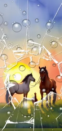 Horse Liquid Water Live Wallpaper