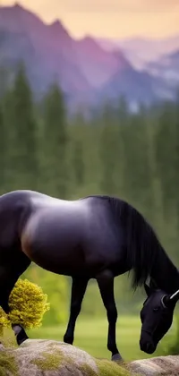 This stunning live wallpaper features a black horse standing on a lush green field, with a unicorn horn on its head
