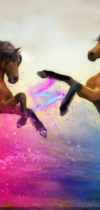 Horse People In Nature Happy Live Wallpaper
