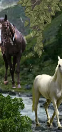 Horse Plant Working Animal Live Wallpaper