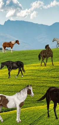 Experience the beauty of nature with this live wallpaper featuring a herd of horses grazing on a vibrant field in Japan