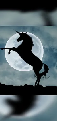 Horse Sky Flash Photography Live Wallpaper